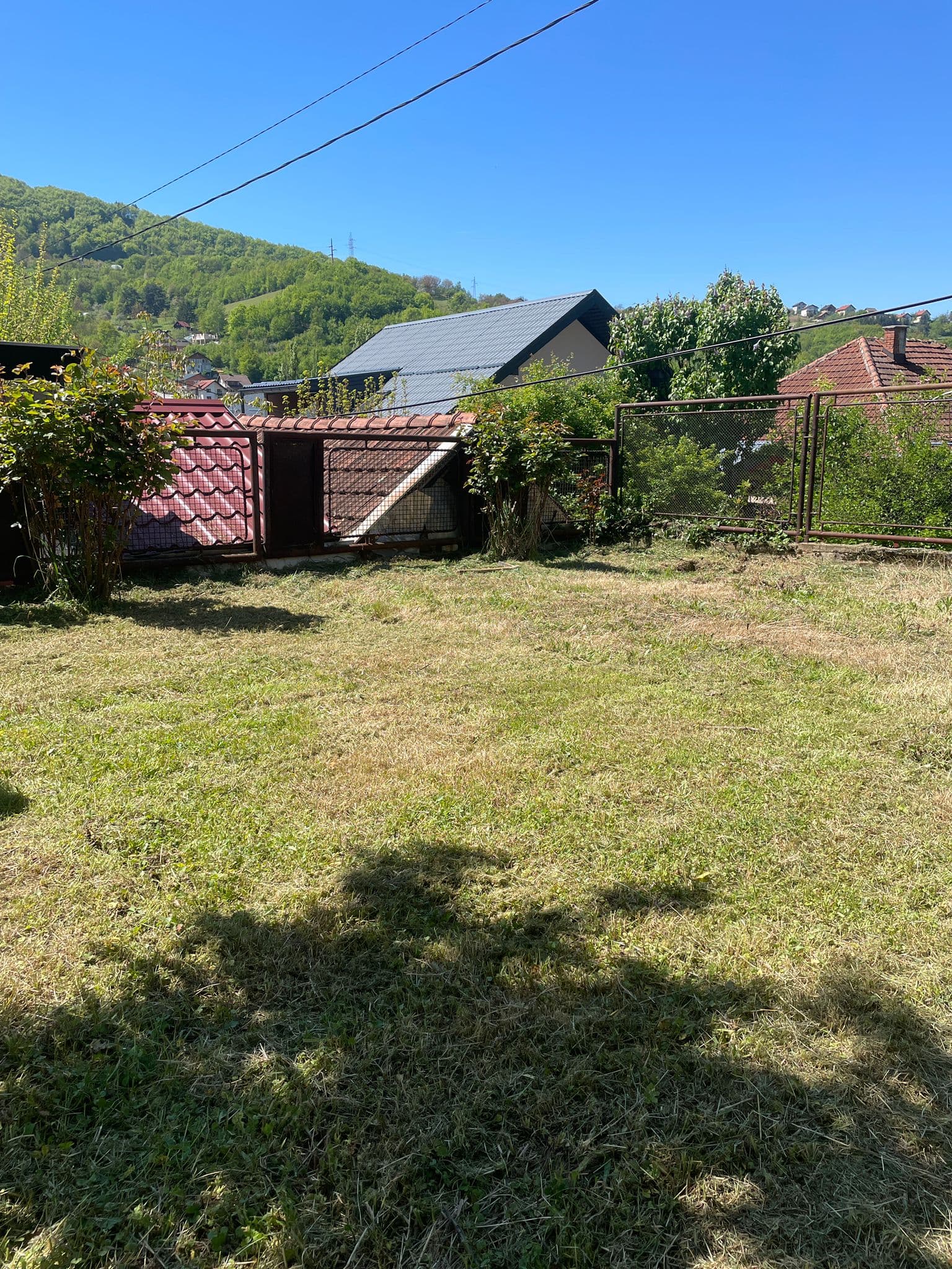 Uređeno dvorište s pokošenom travom, voćkama i kućama